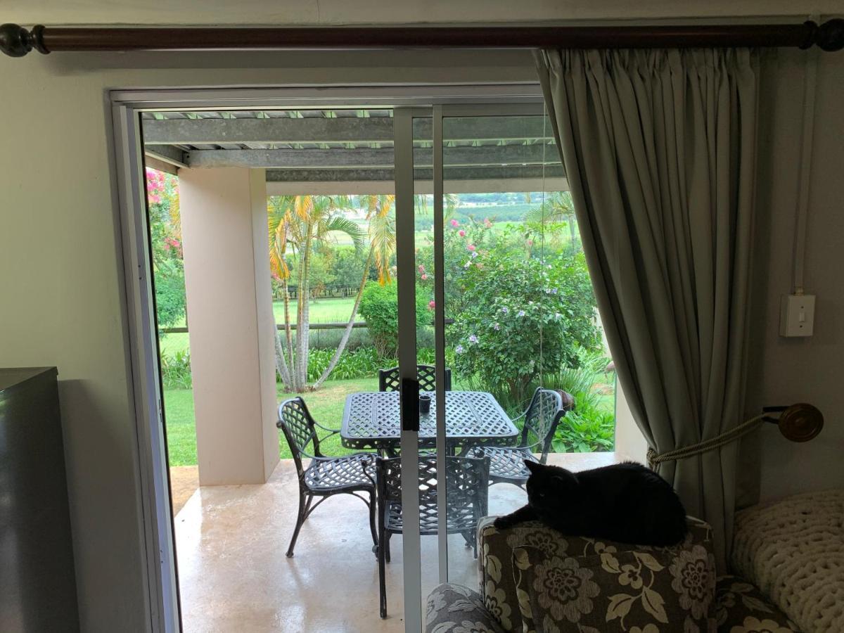 Jelani Guest House 화이트 리버 외부 사진
